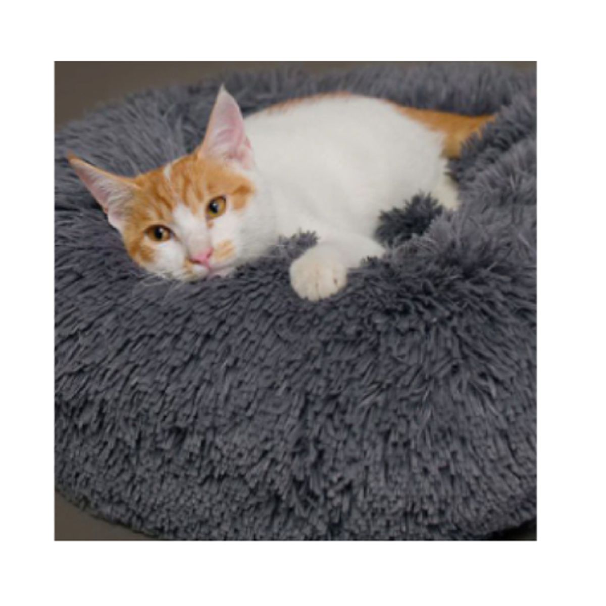 AFM - CAMA DONA PELUCHE PARA MASCOTAS GRANDE CON OBSEQUIO