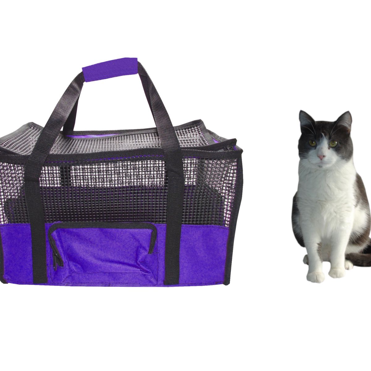 HALLY PET - Maleta Cargador Cabina Morado