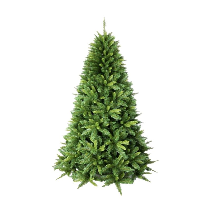 BURICA - Arbol Hamilton 2.25 Mt Verde