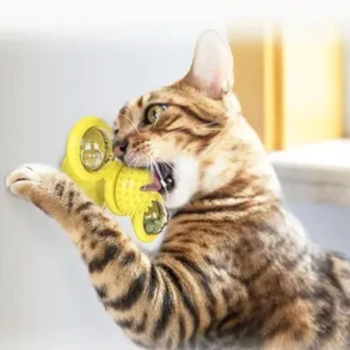AFM - Juguete - Giratorio Para Gato