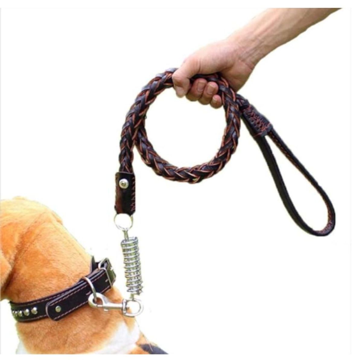 AFM - Correa Con Collar En Cuero Para Perros