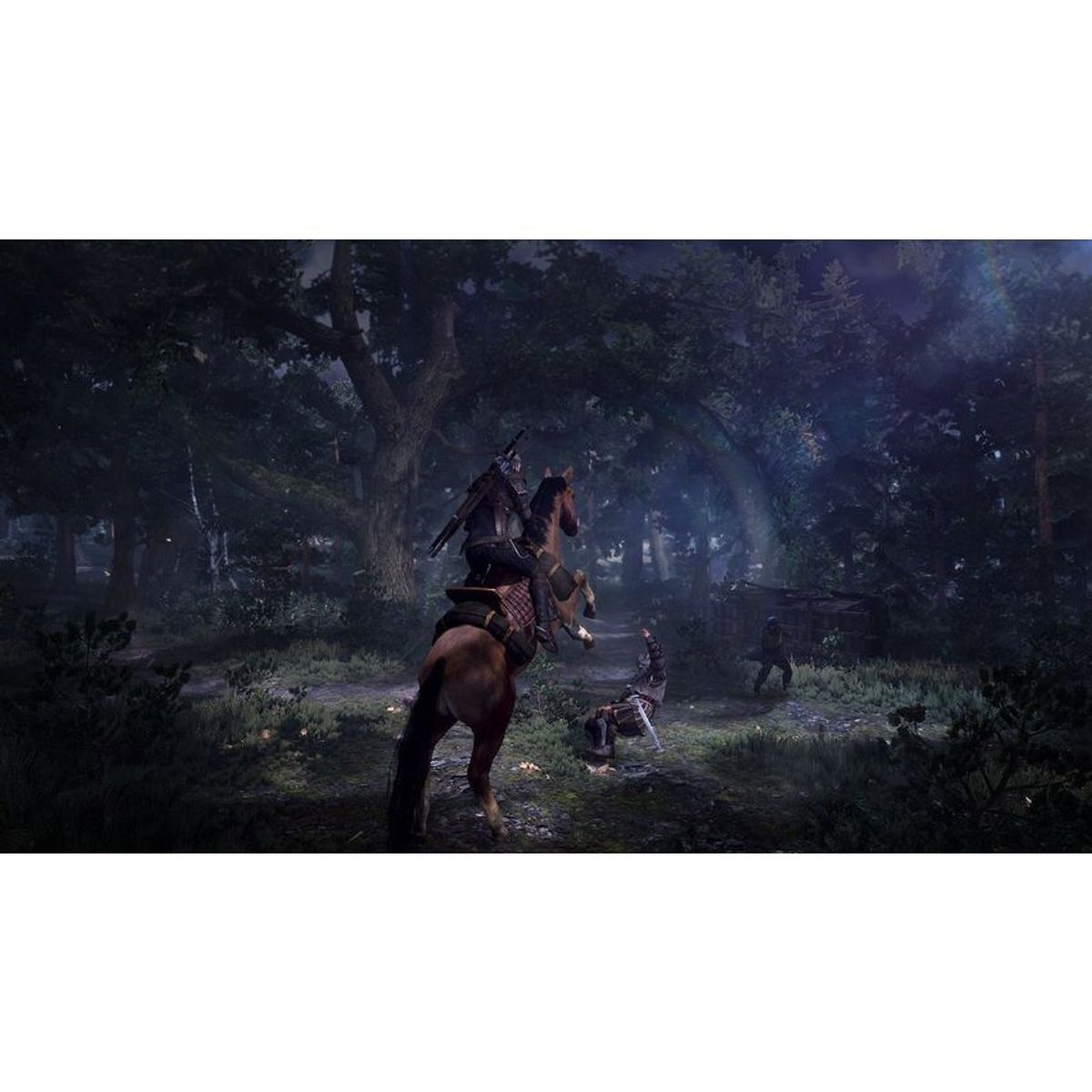 WARNER BROS - The witcher 3 wild hunt - xbox one l - rpg