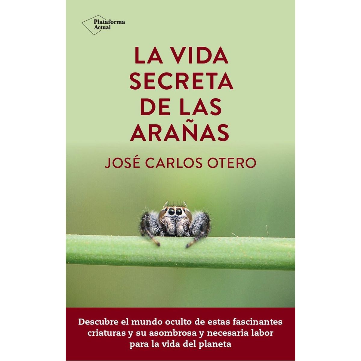 PLATAFORMA - La Vida Secreta De Las Arañas