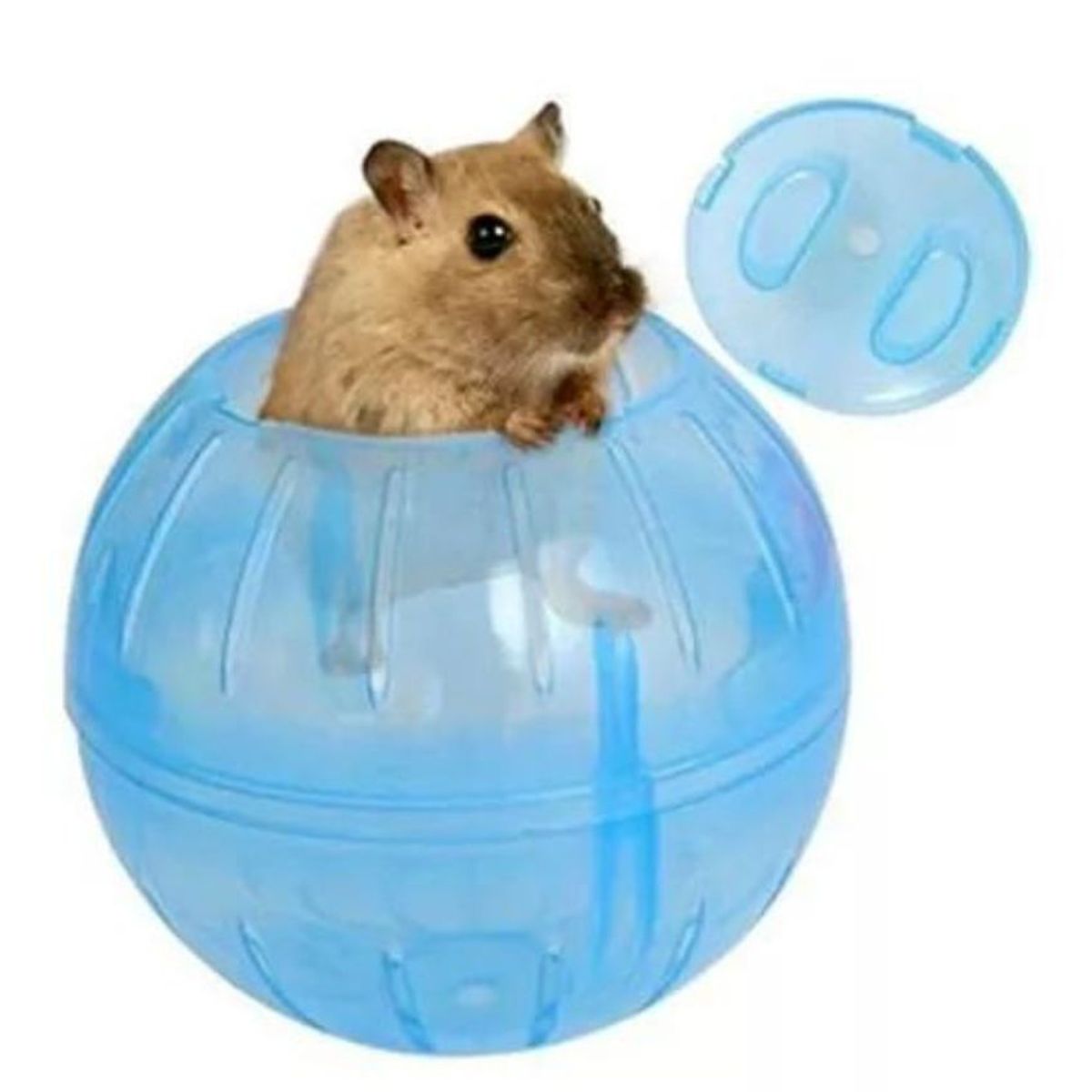 AFM - Bola Rueda Para Hámster