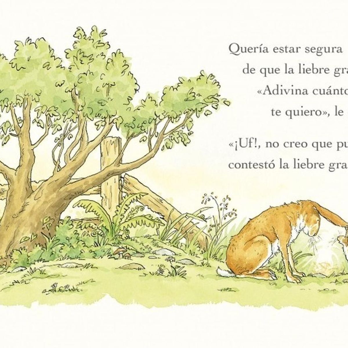 GENERICO - Adivina Cuánto Te Quiero. Sam Mcbratney - Anita Jeram