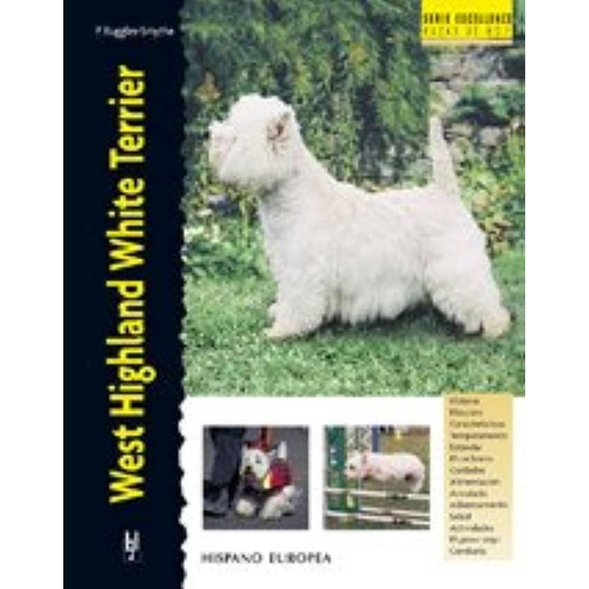 GENERICO - West Highland White Terrier. Excellence