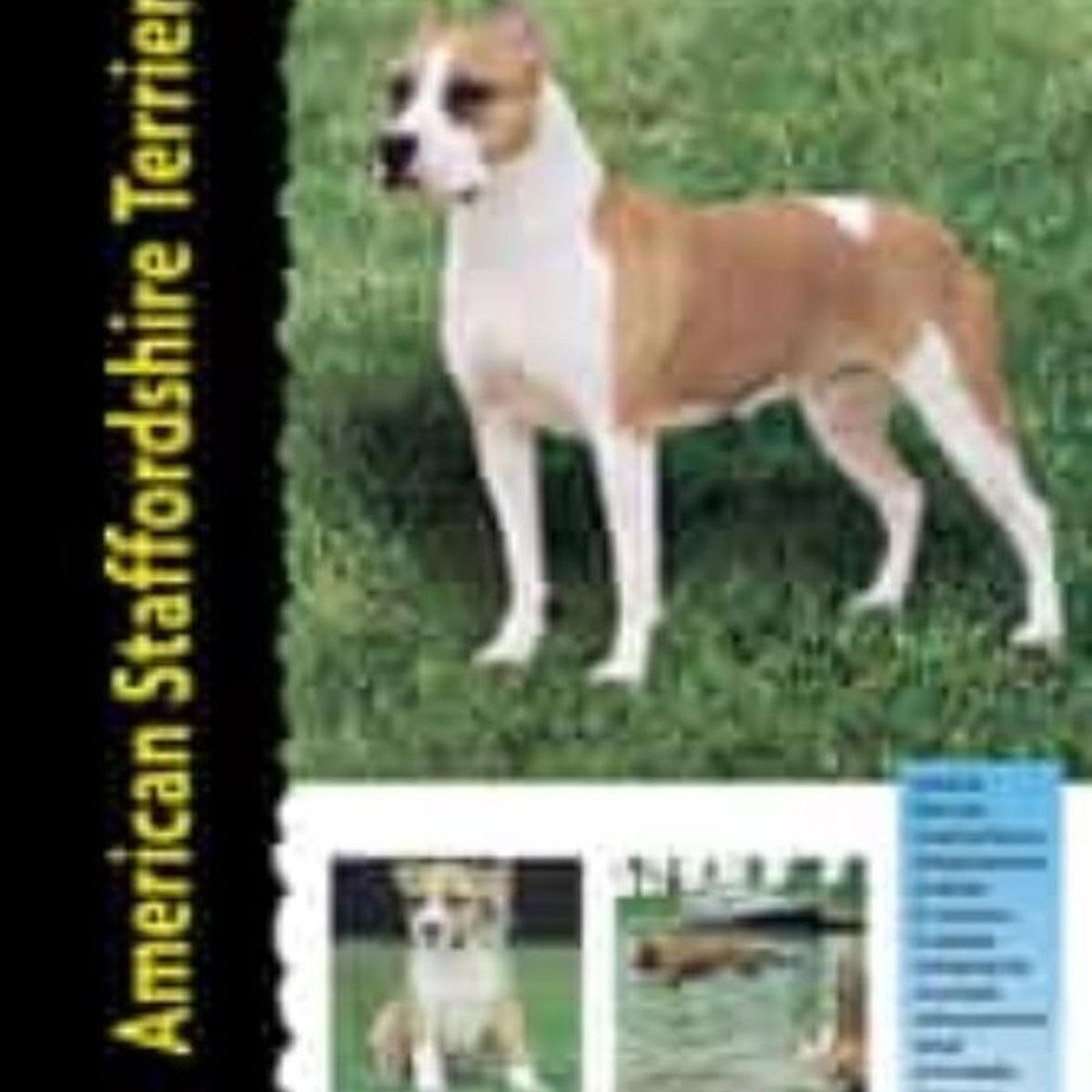 GENERICO - American Staffordshire Terrier. Excellence
