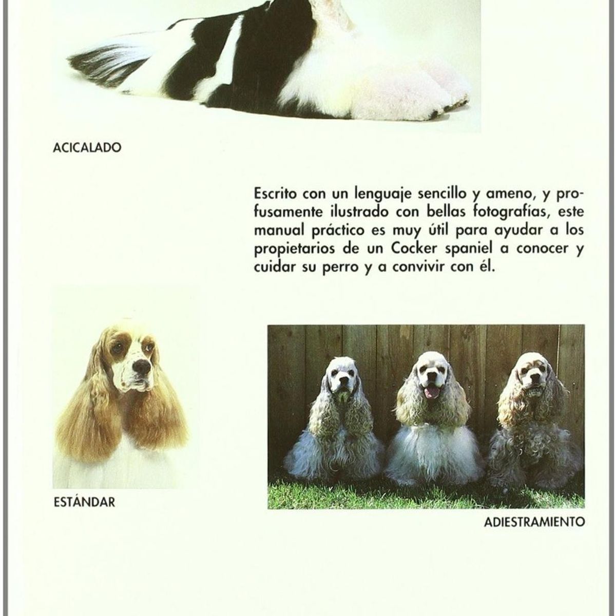 GENERICO - Manual Practico Del Cocker Spaniel