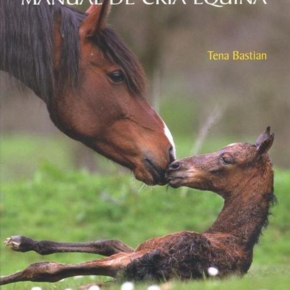 GENERICO - Objetivo Potro: Manual De Cria Equina