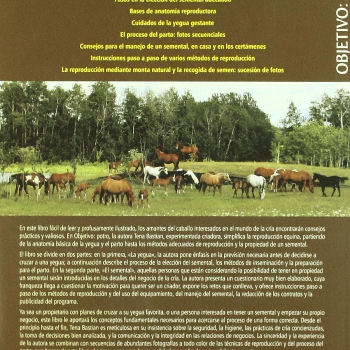 GENERICO - Objetivo Potro: Manual De Cria Equina