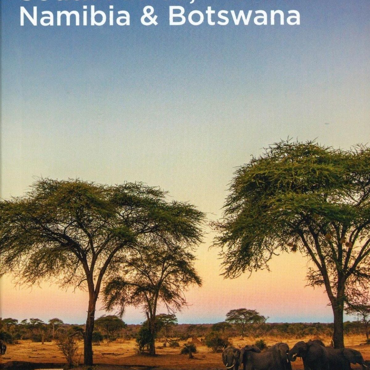 GENERICO - South Africa, Namibia & Botswana. Flexo
