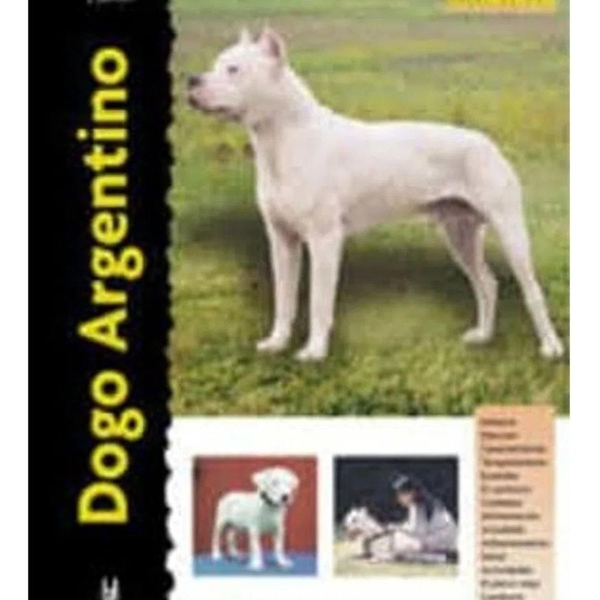 GENERICO - Dogo Argentino. Excellence