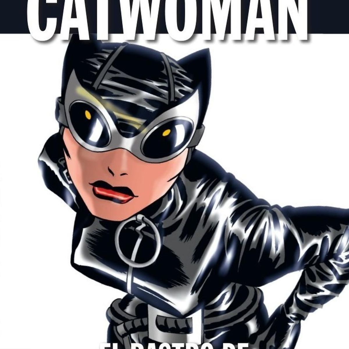 GENERICO - Coleccion Novelas Graficas No. 40 Catwoman (t.d)