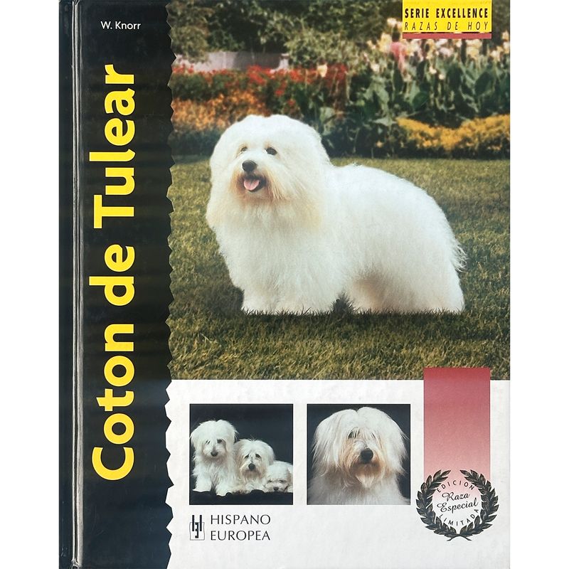 GENERICO - Coton De Tulear. Excellence