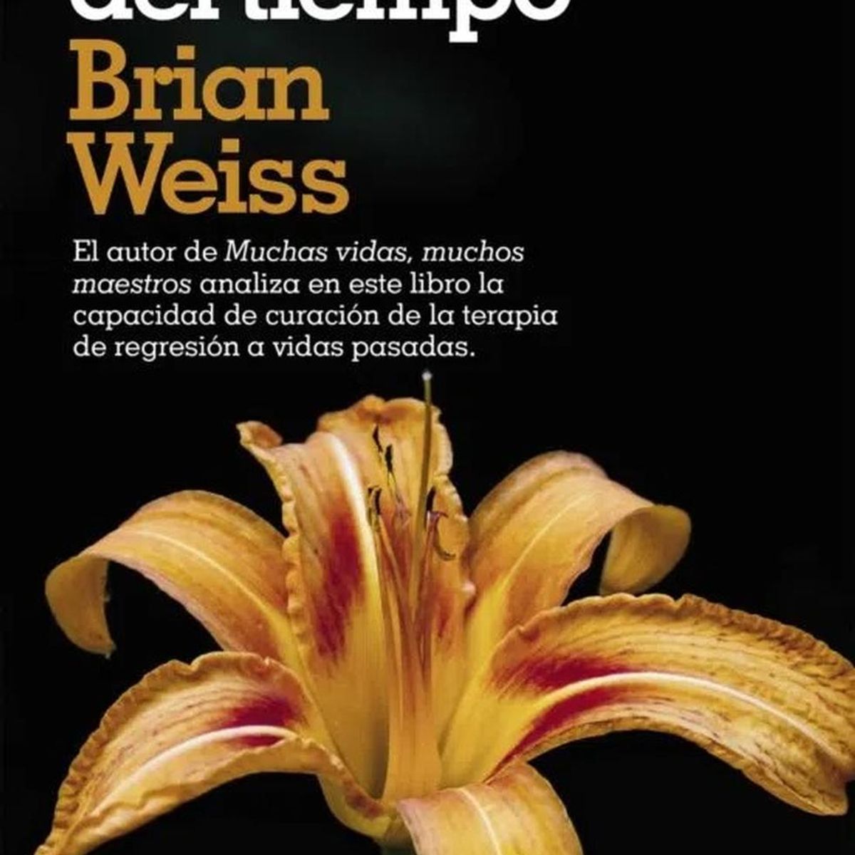 DEBOLSILLO - A Través Del Tiempo. Brian Weiss