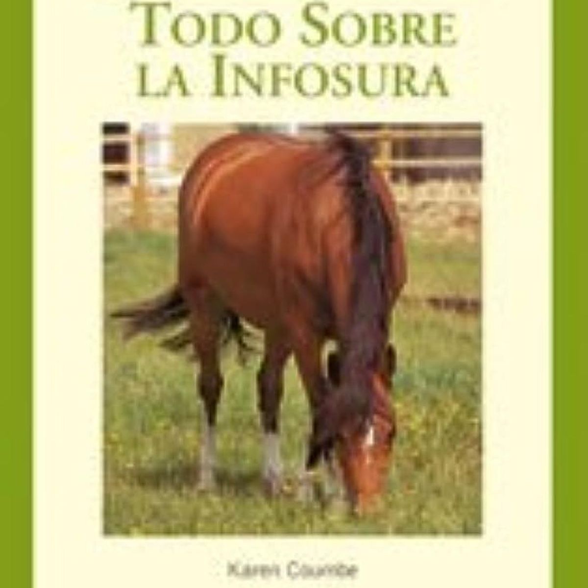 GENERICO - Todo Sobre La Infosura