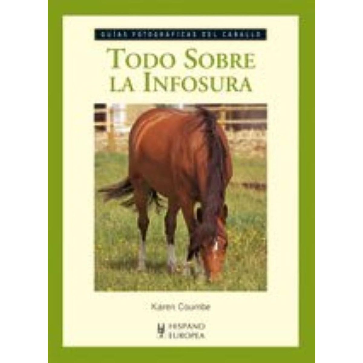 GENERICO - Todo Sobre La Infosura