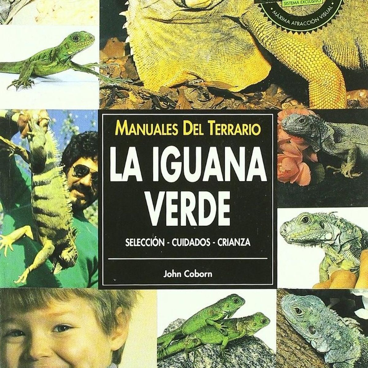 GENERICO - Manuales Del Terrario. La Iguana Verde