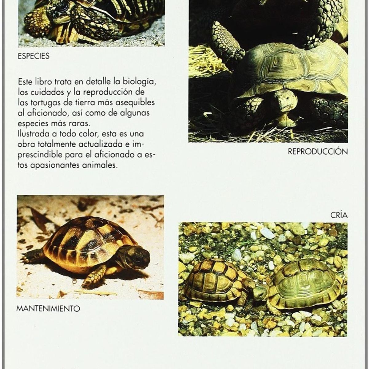 GENERICO - Manuales Del Terrario. Tortugas Terrestres