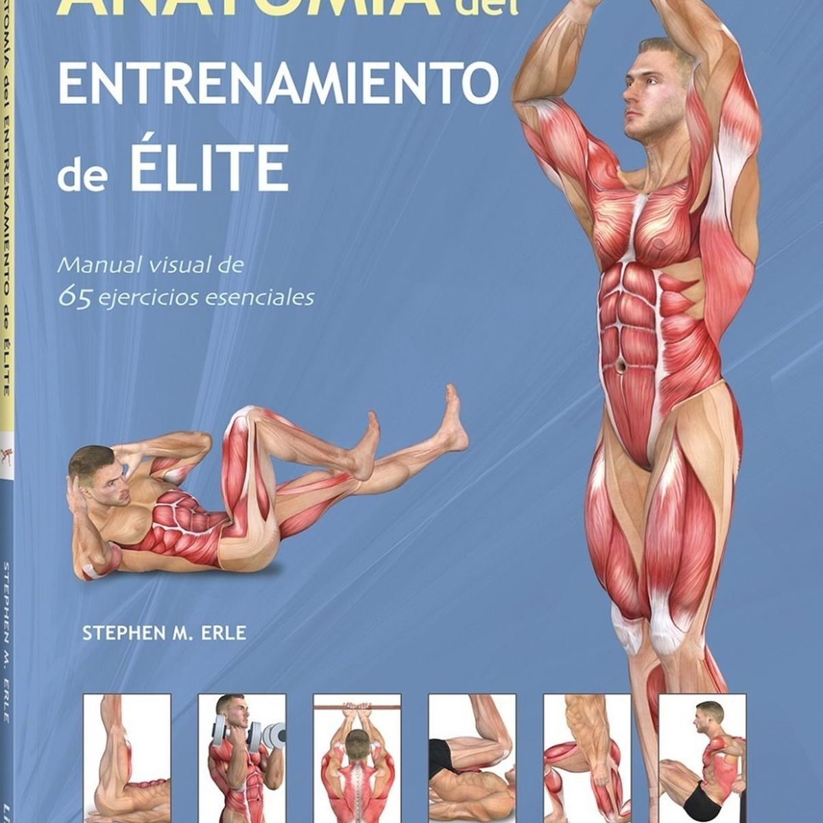 GENERICO - Anatomia Del Entrenamiento De Elite Manual Visual