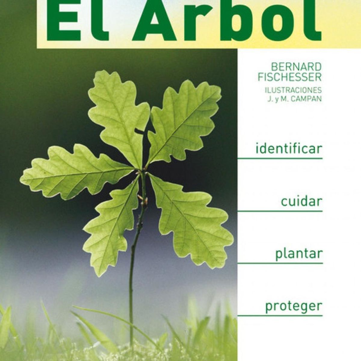 GENERICO - El Árbol. Identificar, Cuidar, Plantar Y Proteger (t.d)