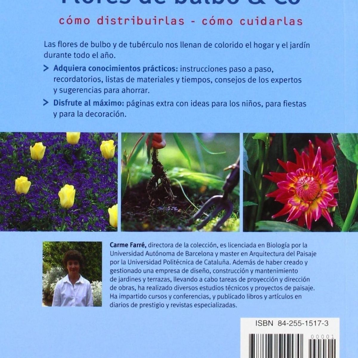 GENERICO - Flores De Bulbo & Co. Rapido Y Facil