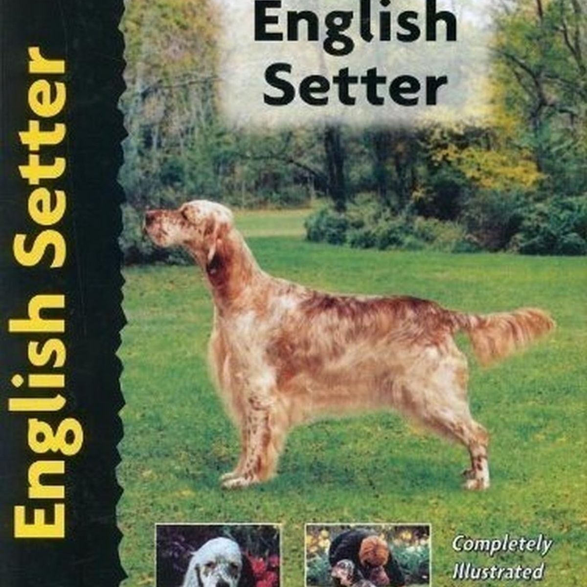 GENERICO - Setter Ingles. Excellence