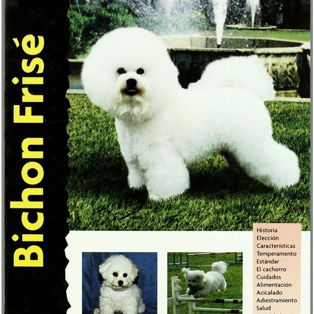 GENERICO - Bichon Frise. Excellence