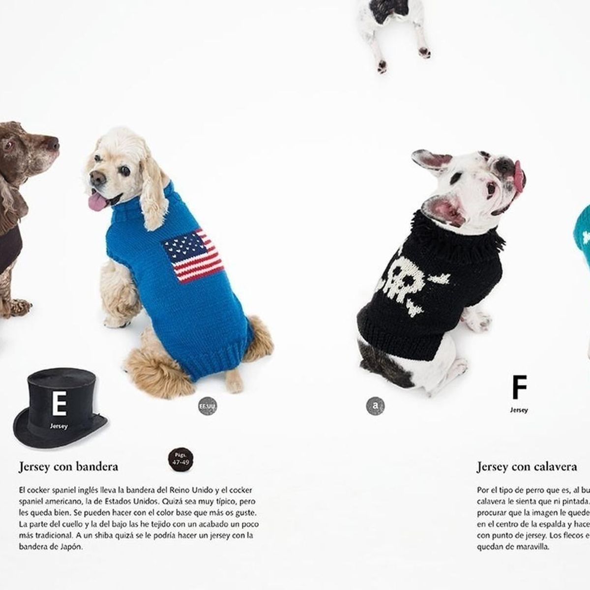 GUSTAVO GILI - Prendas De Punto Para Perros: Aprende A Tejer