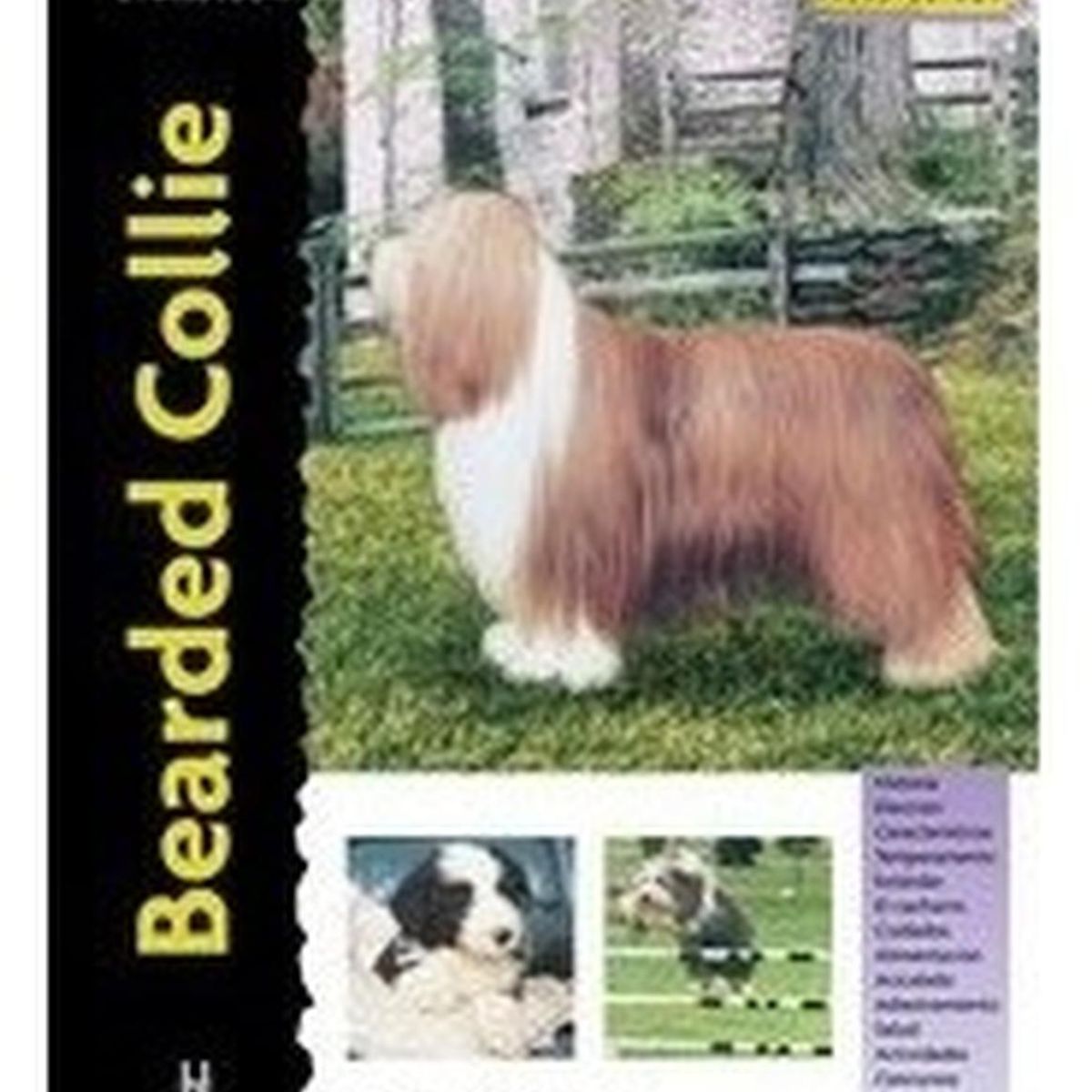 GENERICO - Bearded Collie. Excelence