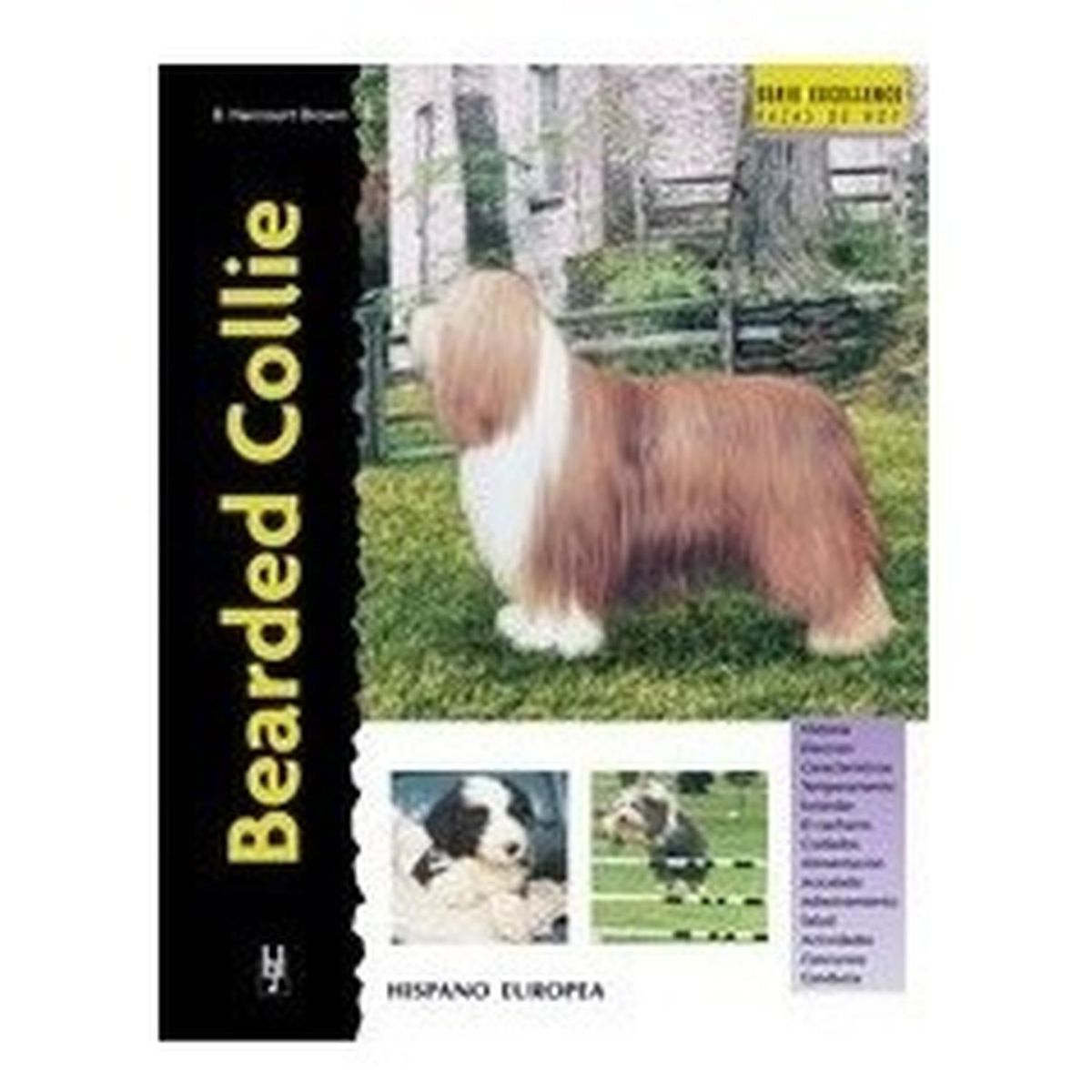 GENERICO - Bearded Collie. Excelence
