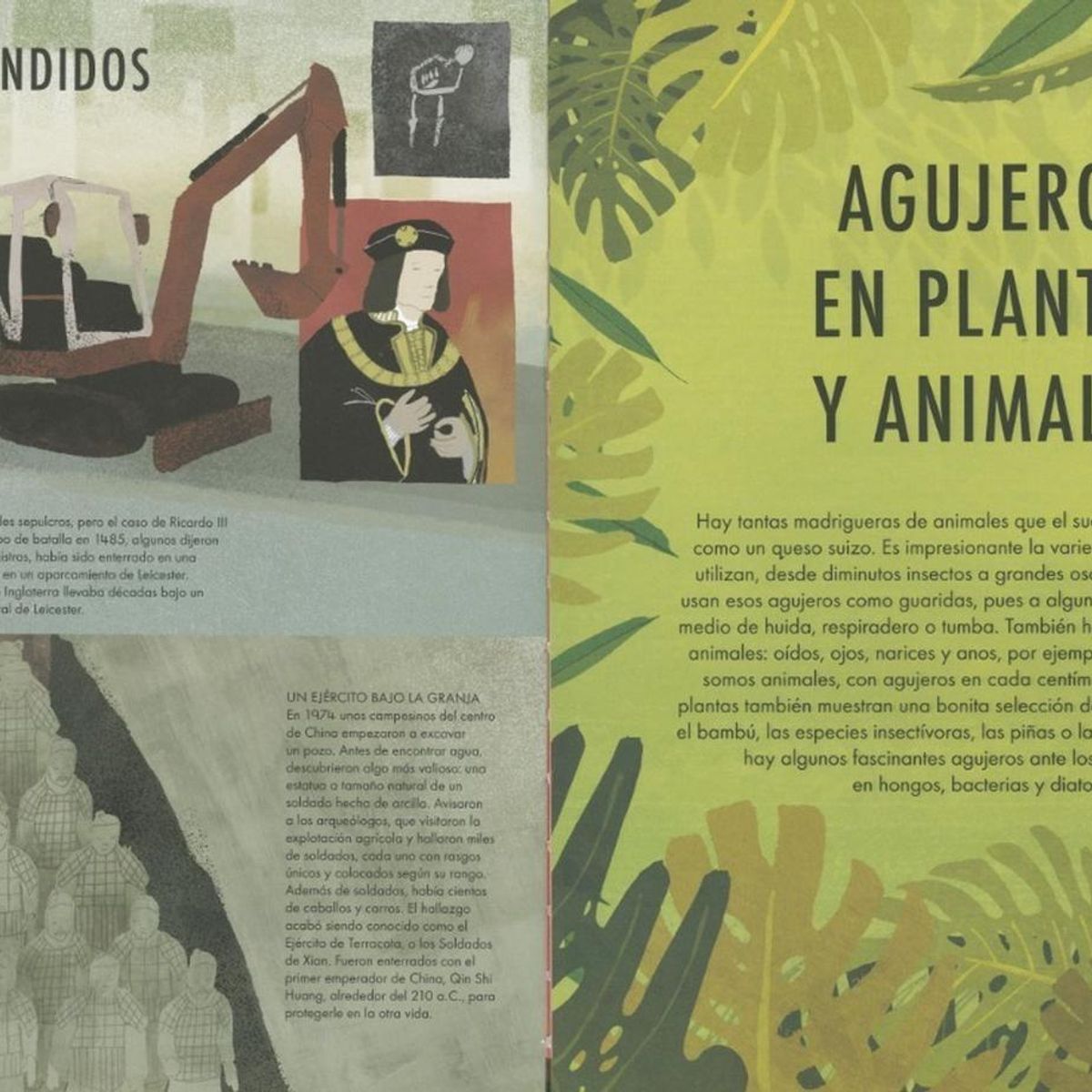 SUSAETA - Descubre Un Mundo Oculto. Agujeros (t.d)