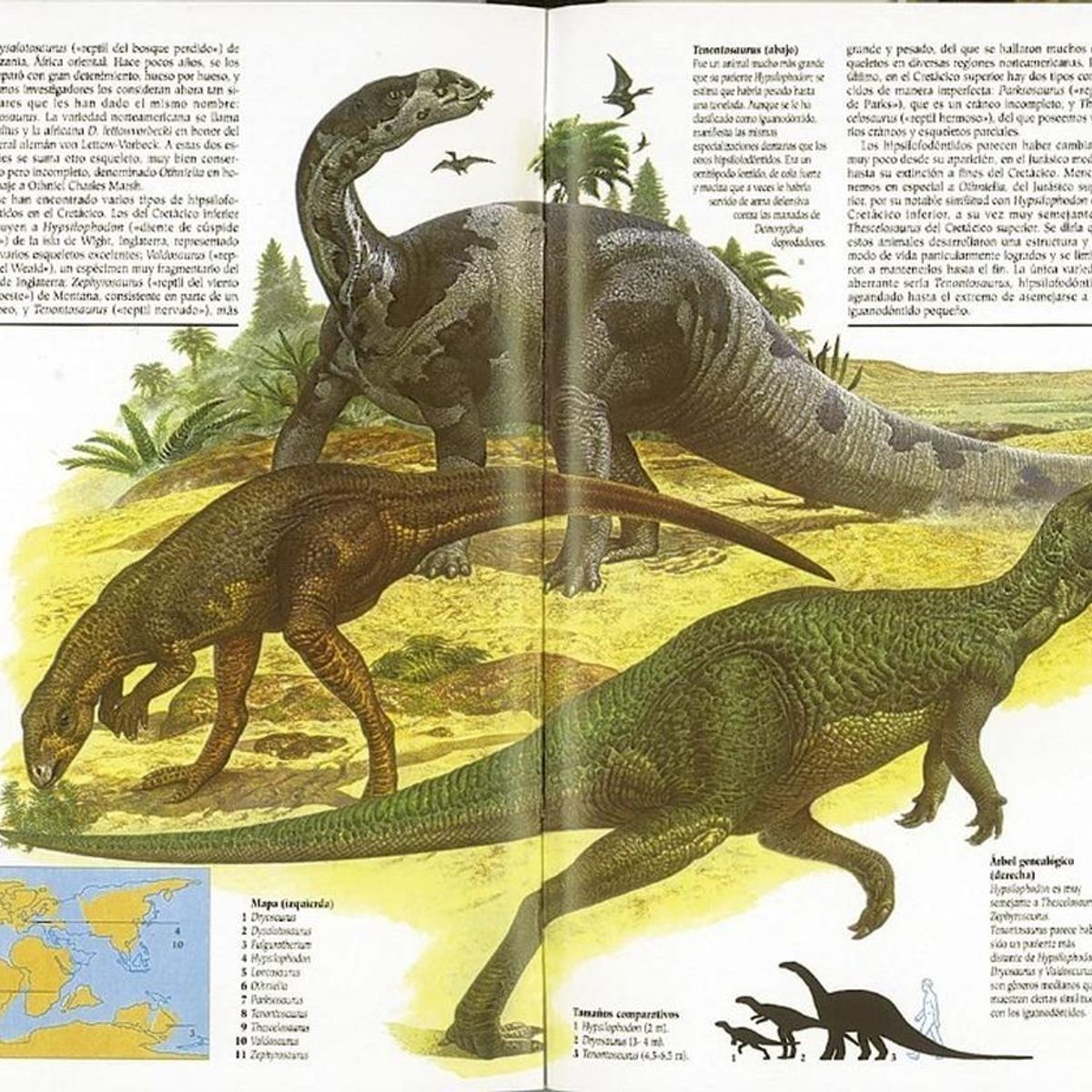 SUSAETA - Dinosaurios. Enciclopedia Universal