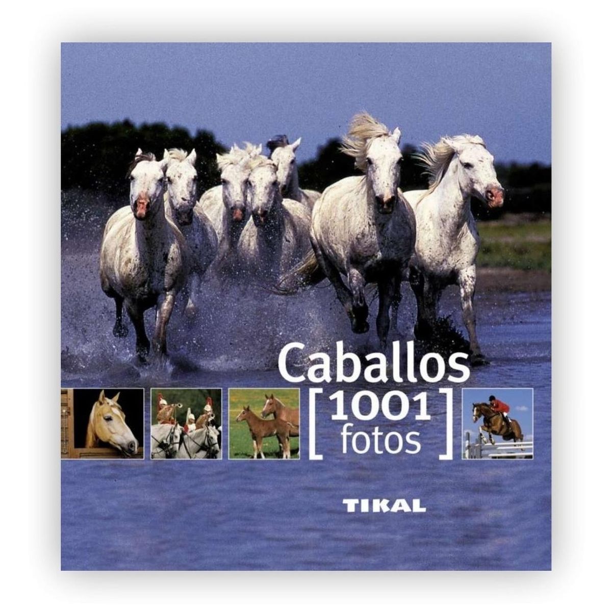 SUSAETA - Caballos (1001 Fotos)