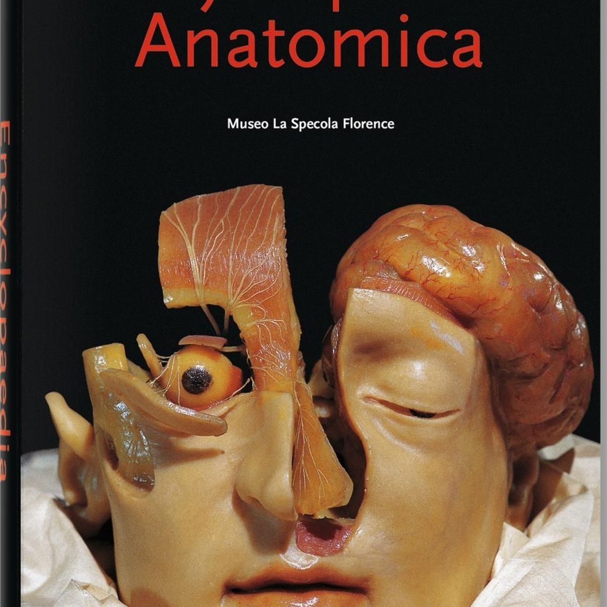 TASCHEN - Encyclopaedia Anatomica: Museo Specola (t.d) -bu-