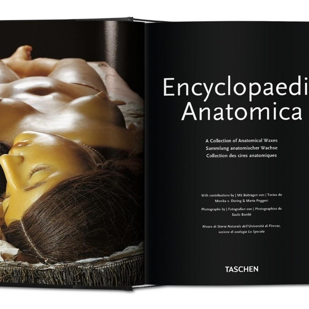 TASCHEN - Encyclopaedia Anatomica: Museo Specola (t.d) -bu-
