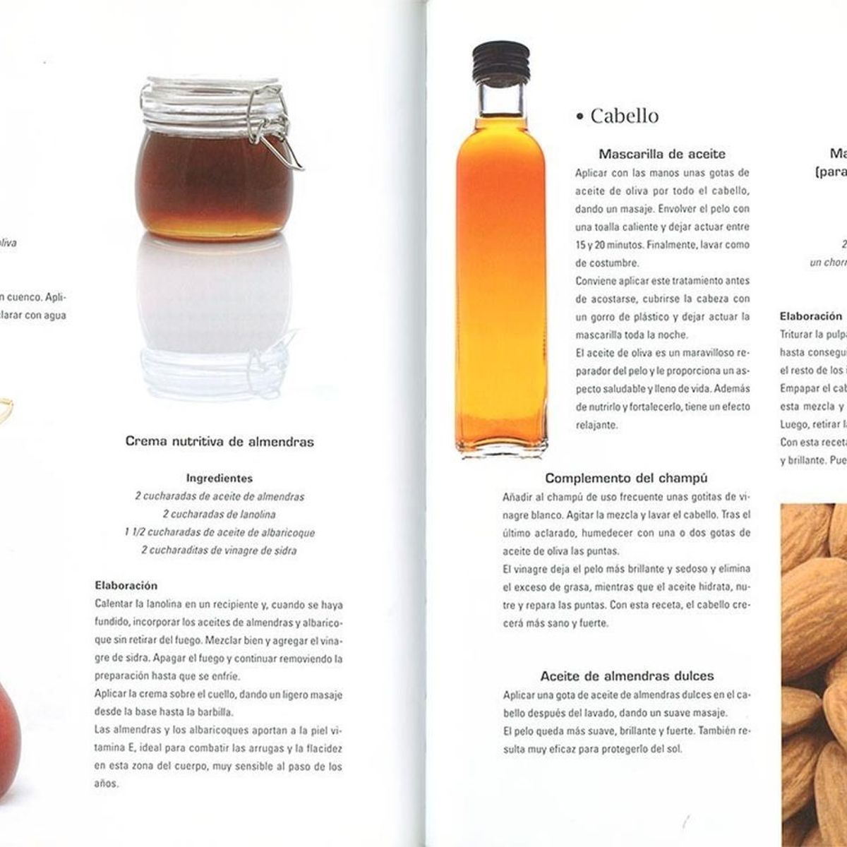 SUSAETA - El Aceite De Oliva. Curiosidades Y Recetas