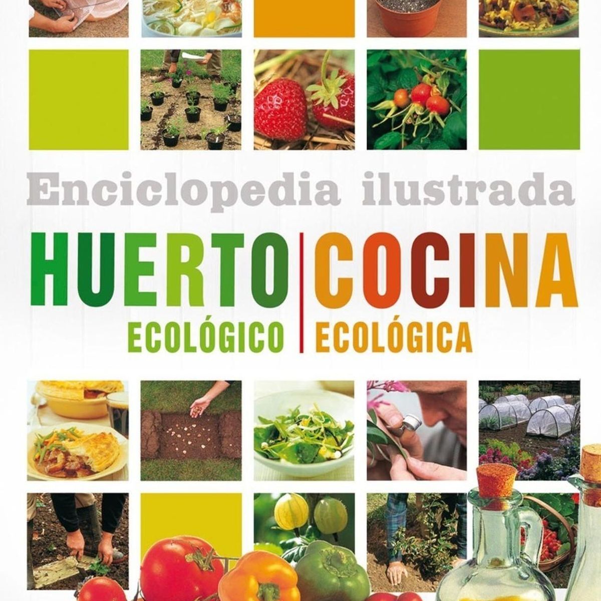 SUSAETA - Huerto Ecológico. Cocina Ecológica. Enciclopedia Ilustrada