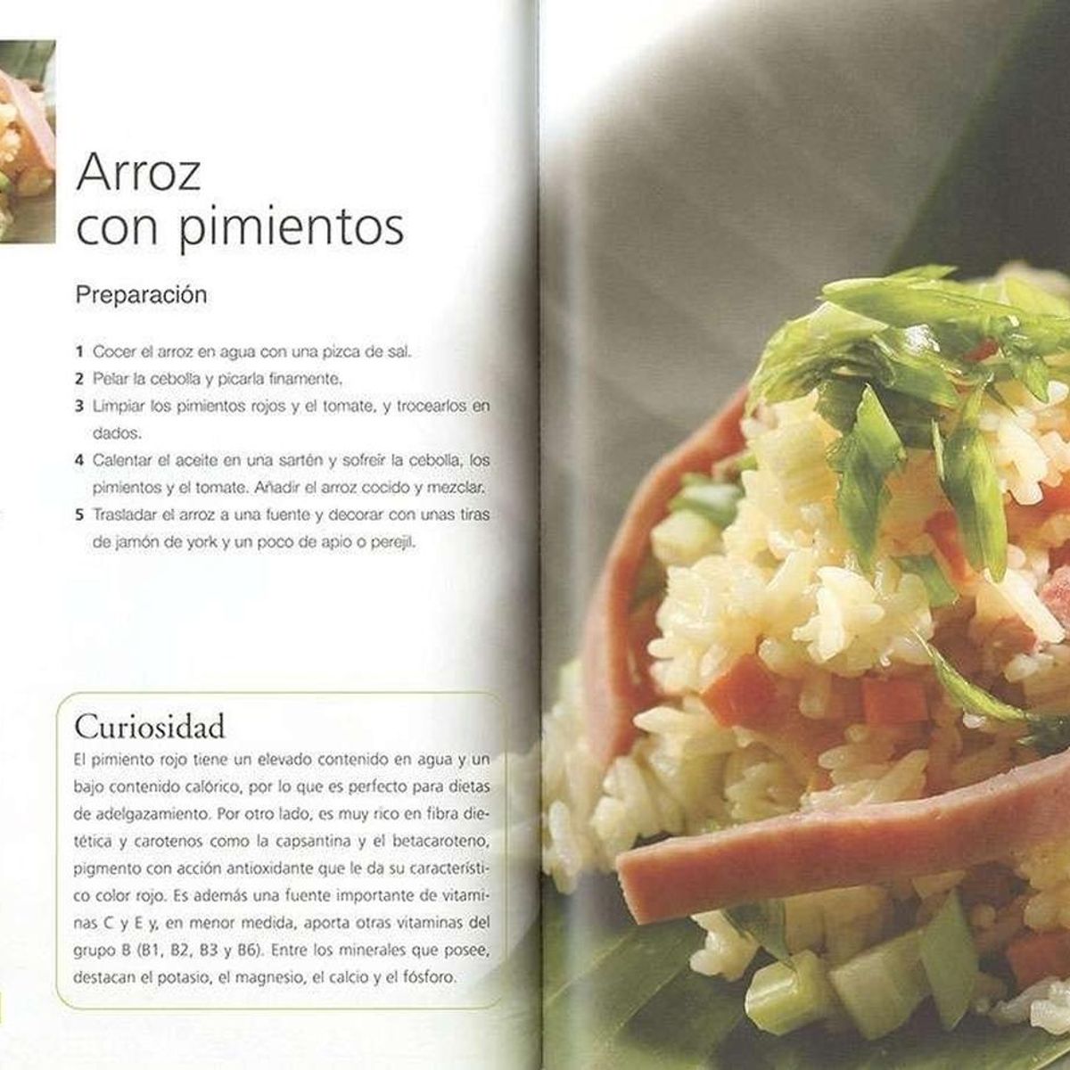 SUSAETA - Cocina Energética. Rincón Paladar
