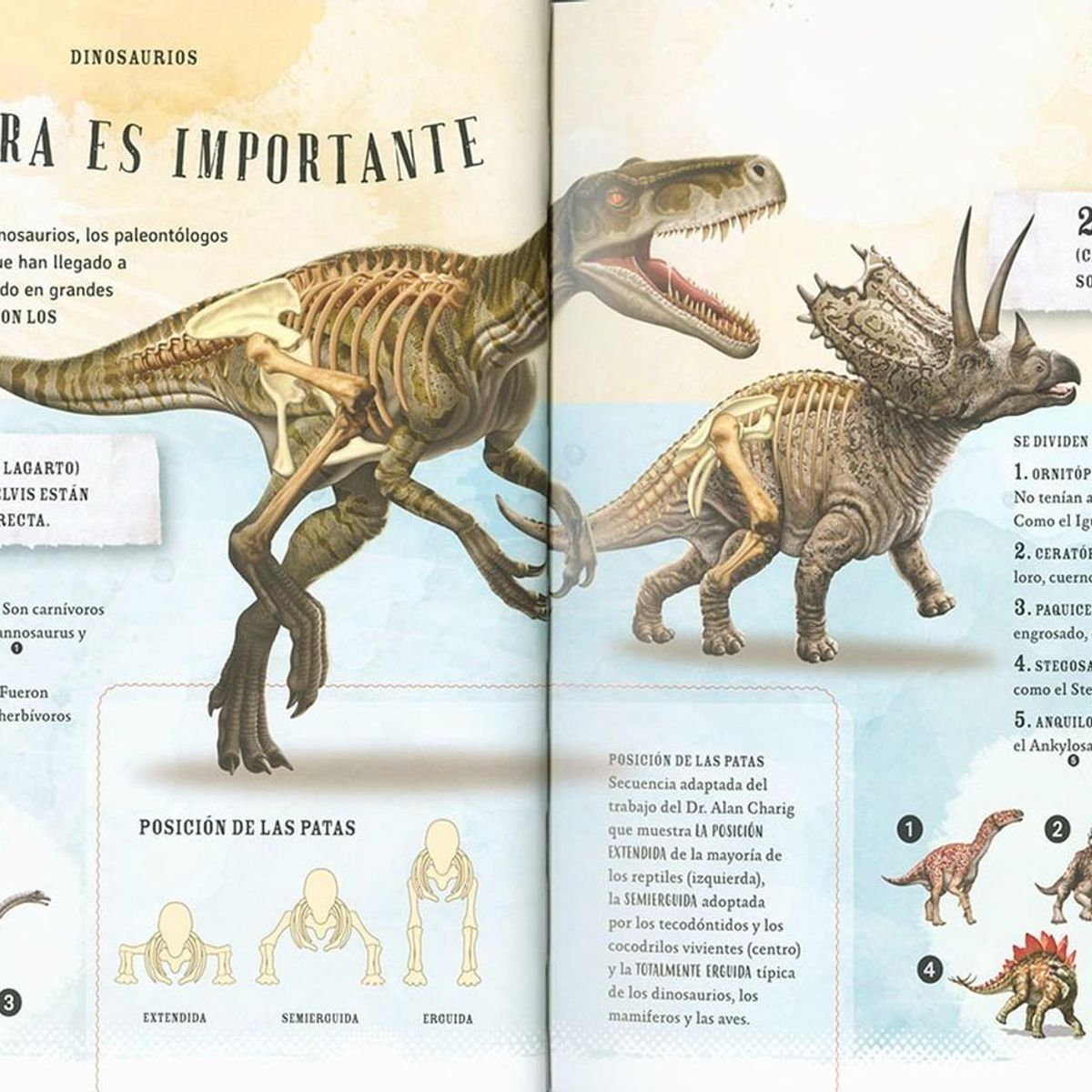 SUSAETA - Dinosaurios. Los Dueños De La Tierra (t.d)