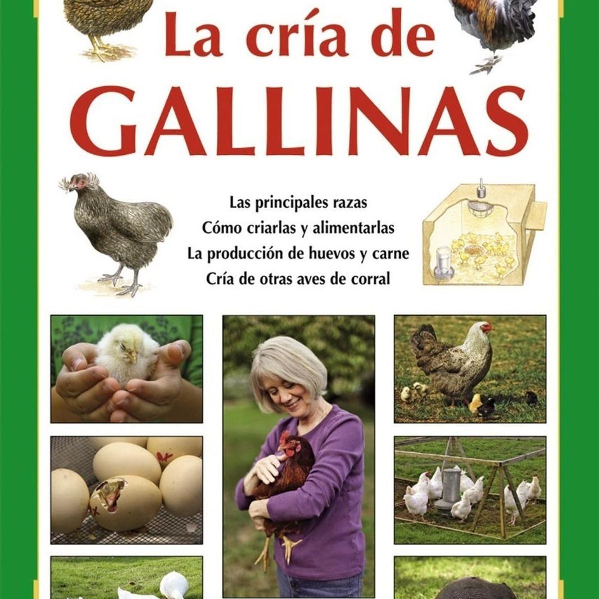 SUSAETA - La Cría De Las Gallinas. Pequeñas Joyas