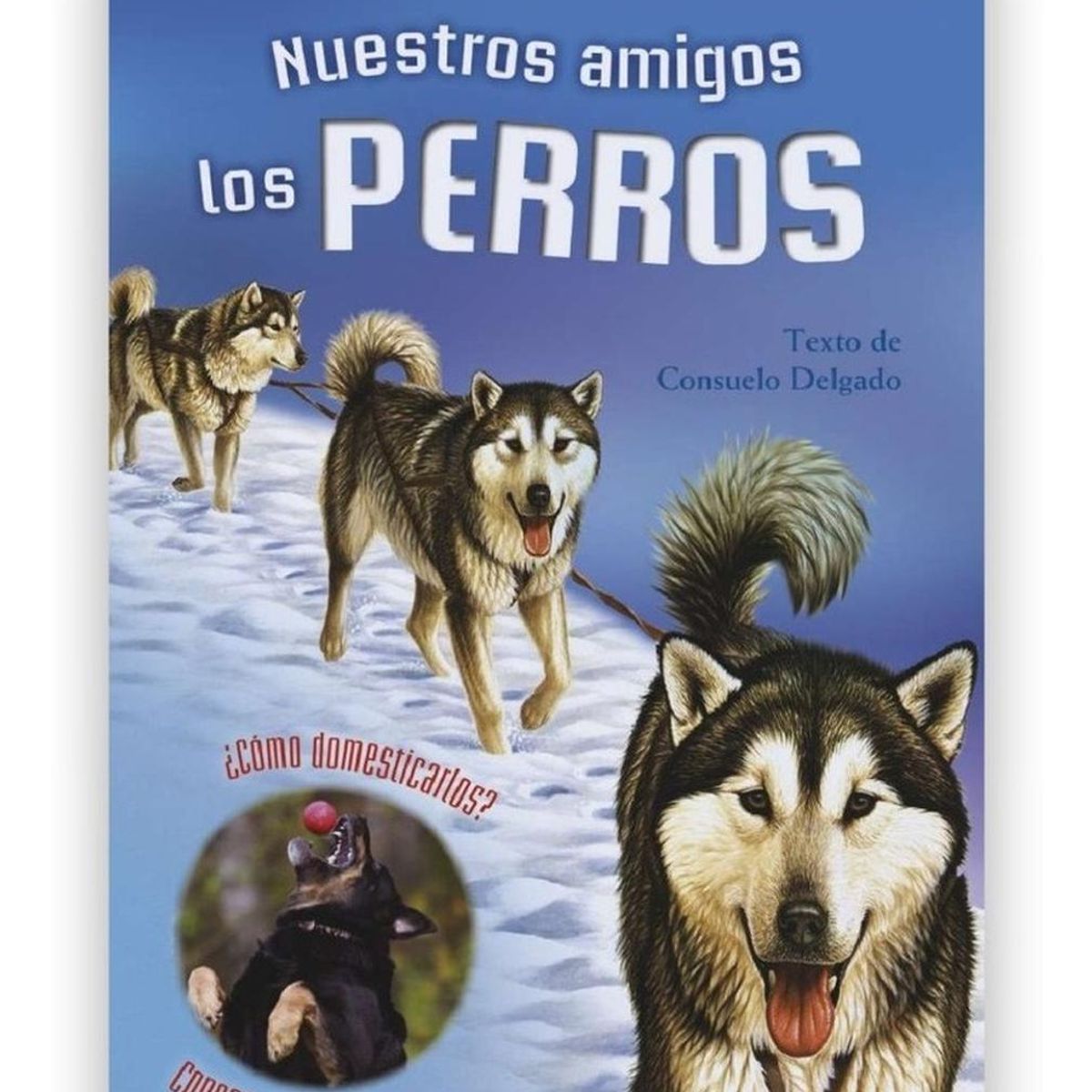 SUSAETA - Nuestros Amigos Los Perros (t.d) Nivel 2