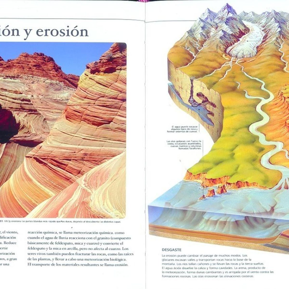SUSAETA - Enciclopedia De La Tierra (t.d)