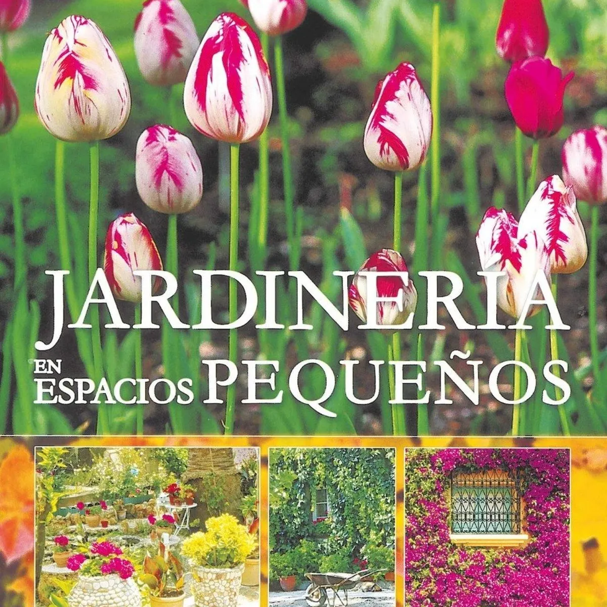 SUSAETA - Jardinería En Espacios Pequeños. Plantas Jardín