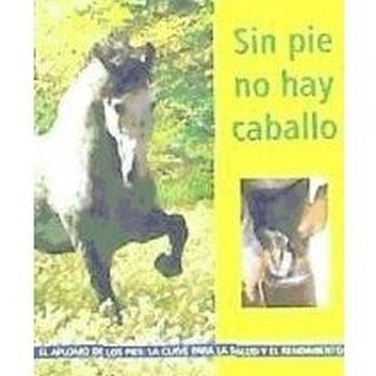 GENERICO - Sin Pie No Hay Caballo