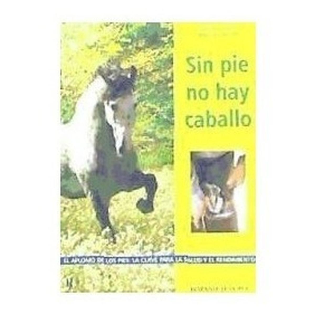 GENERICO - Sin Pie No Hay Caballo