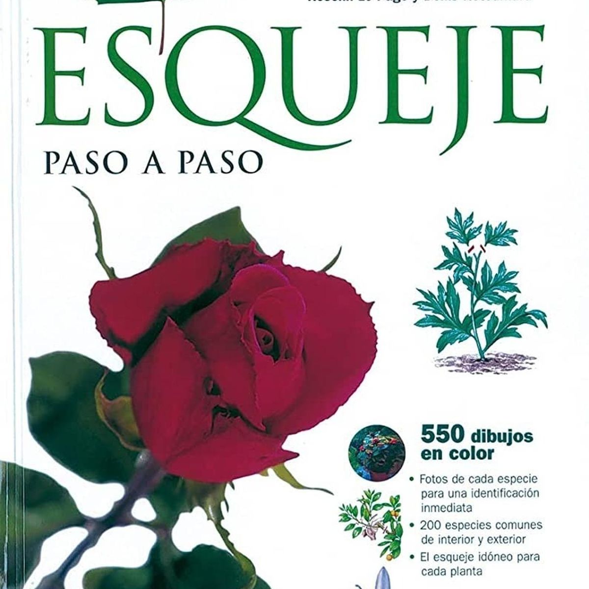 SUSAETA - El Abc Del Esqueje Paso A Paso