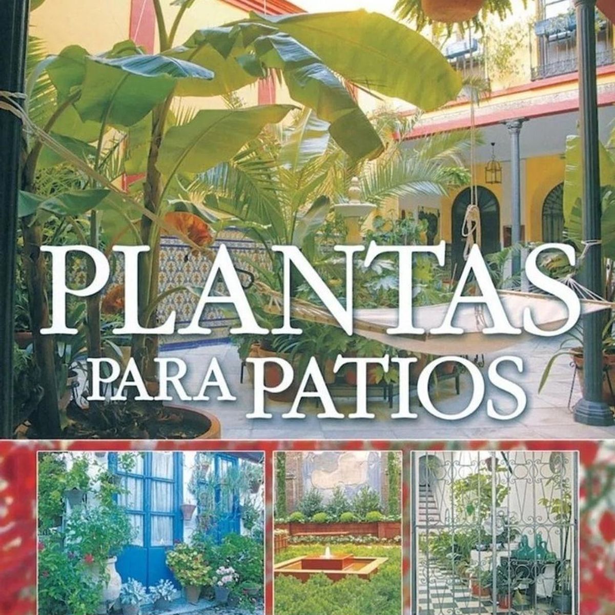 SUSAETA - Plantas Para Patios. Plantas De Jardín