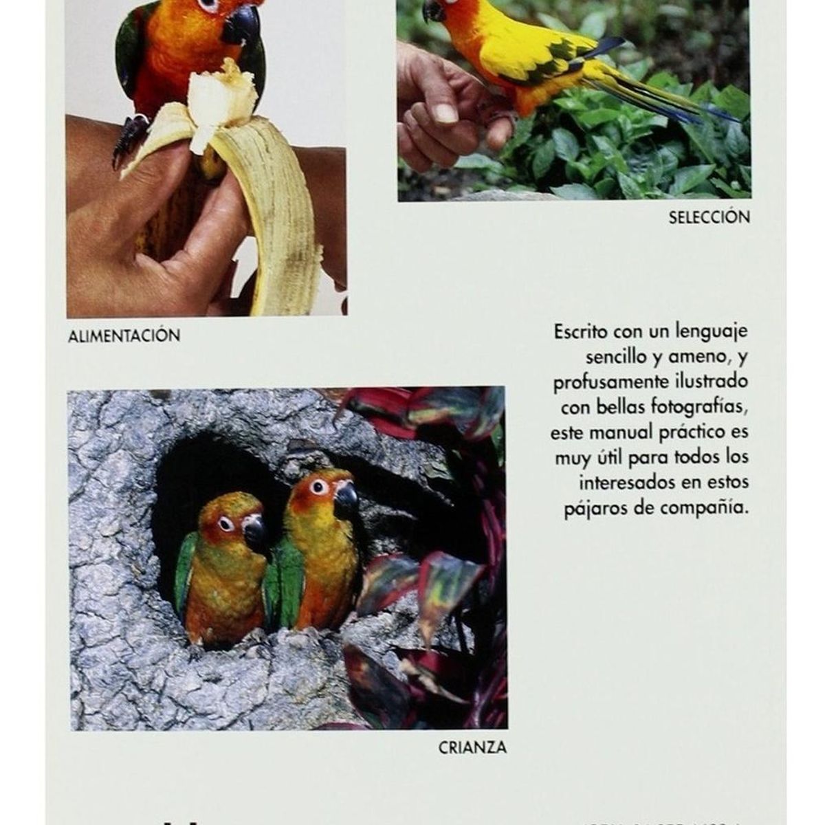 GENERICO - Manual Práctico De Las Cotorras. Manuales Prácticos