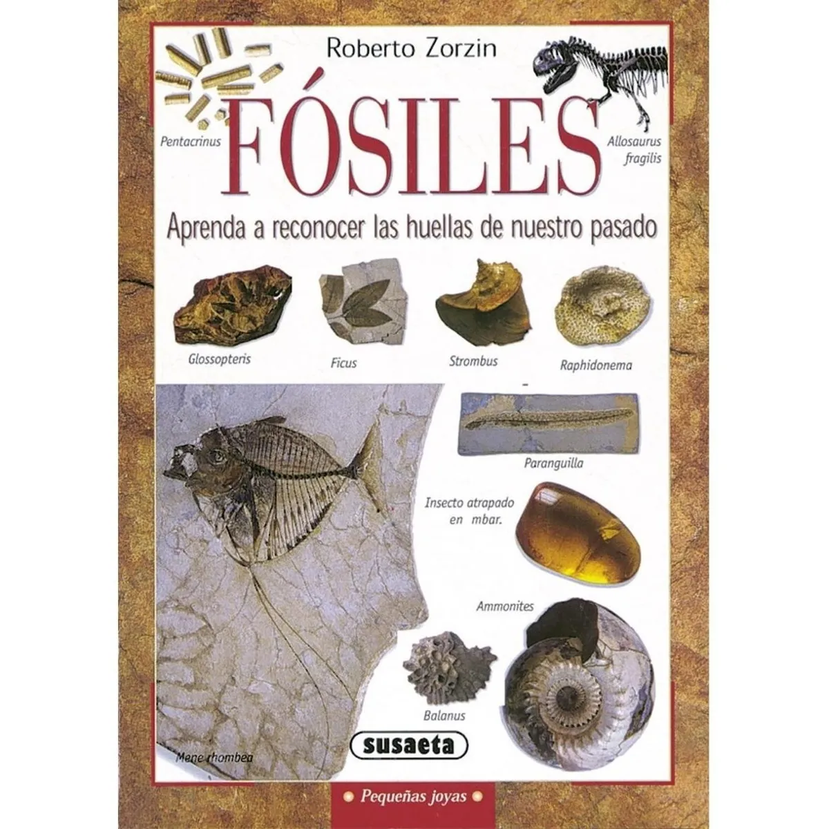 SUSAETA - Fósiles. Pequeñas Joyas